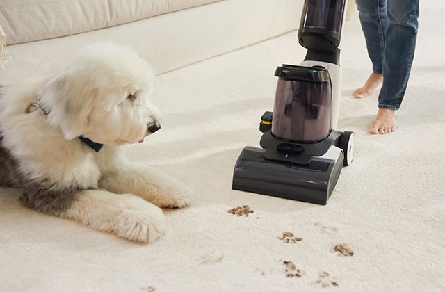 Tineco CARPET ONE manufacturer product-page image showing an upright carpet cleaner and hand tool.